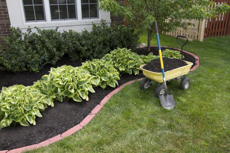 Landscaping Specials for the Greenville SC Area